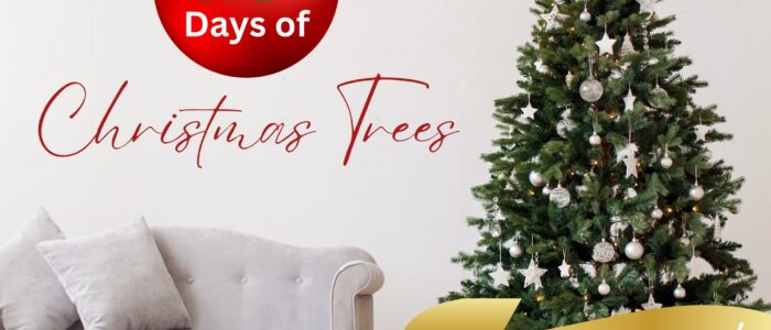 The 12 Days of Christmas Trees Recap!